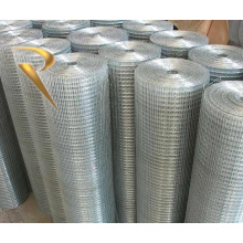 China fabricante Galvanizado painel de malha de arame soldado ou rolo, Fio Soldado revestido de PVC